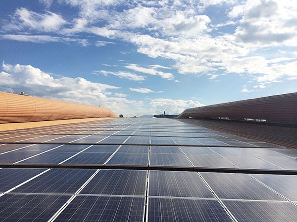 ������Ŀ