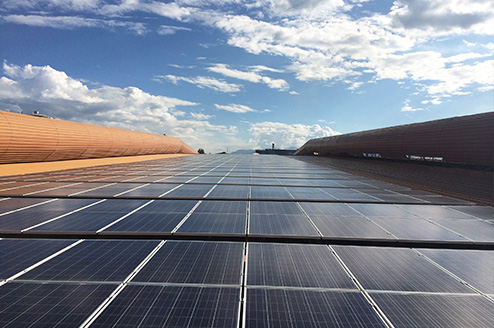 ������Ŀ